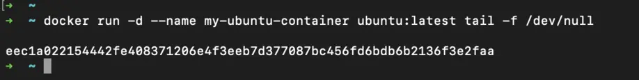 Docker Container Id